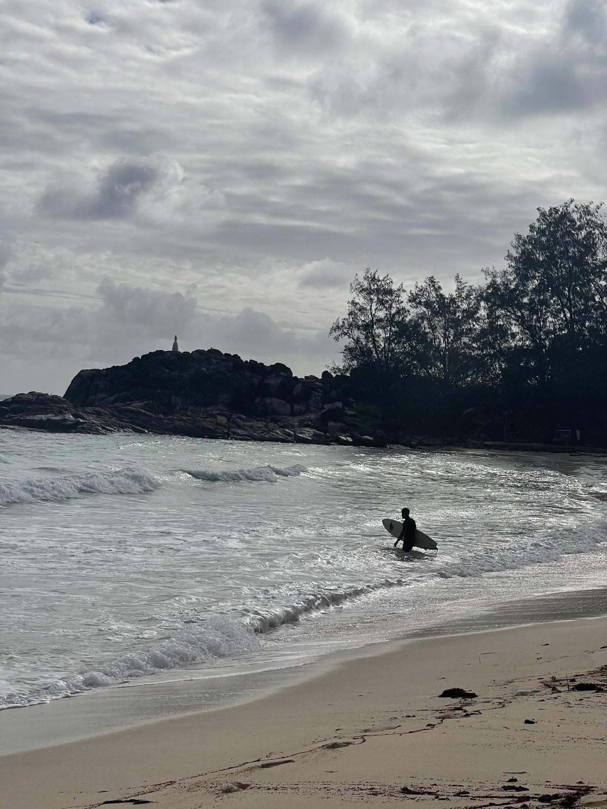 Surfen auf den Seychellen — die Wurzeln am Ozean