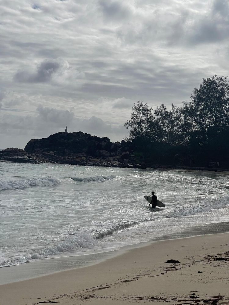 Surfen auf den Seychellen — die Wurzeln am Ozean